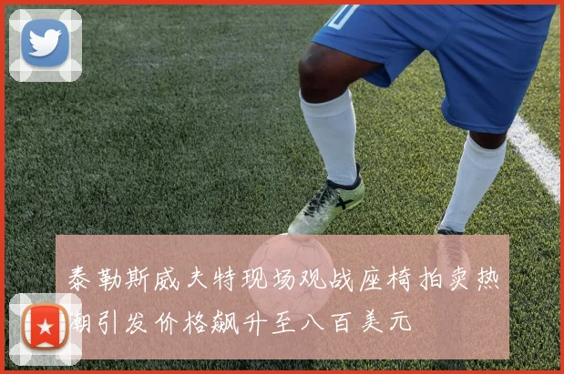 泰勒斯威夫特现场观战座椅拍卖热潮引发价格飙升至八百美元