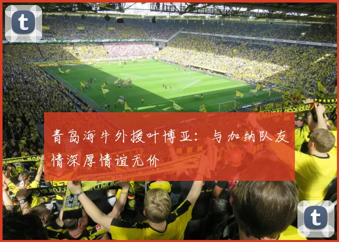 青岛海牛外援叶博亚：与加纳队友情深厚情谊无价