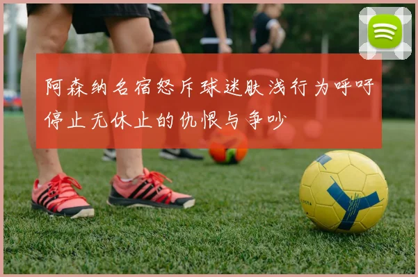 阿森纳名宿怒斥球迷肤浅行为呼吁停止无休止的仇恨与争吵